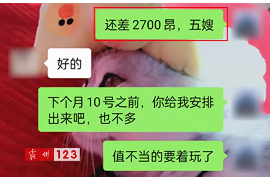 澄迈贷款清欠服务